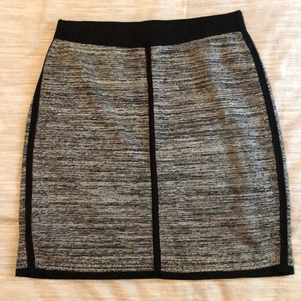 Ann Taylor Skirt